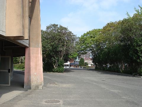 津球場公園野球場その2