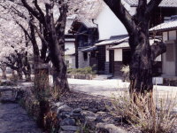 雄川堰
